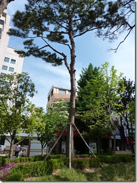 P1000308