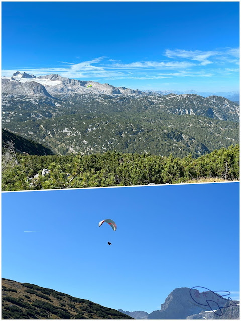 paraglider