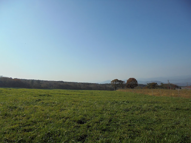 大山牧場の放牧地の風景