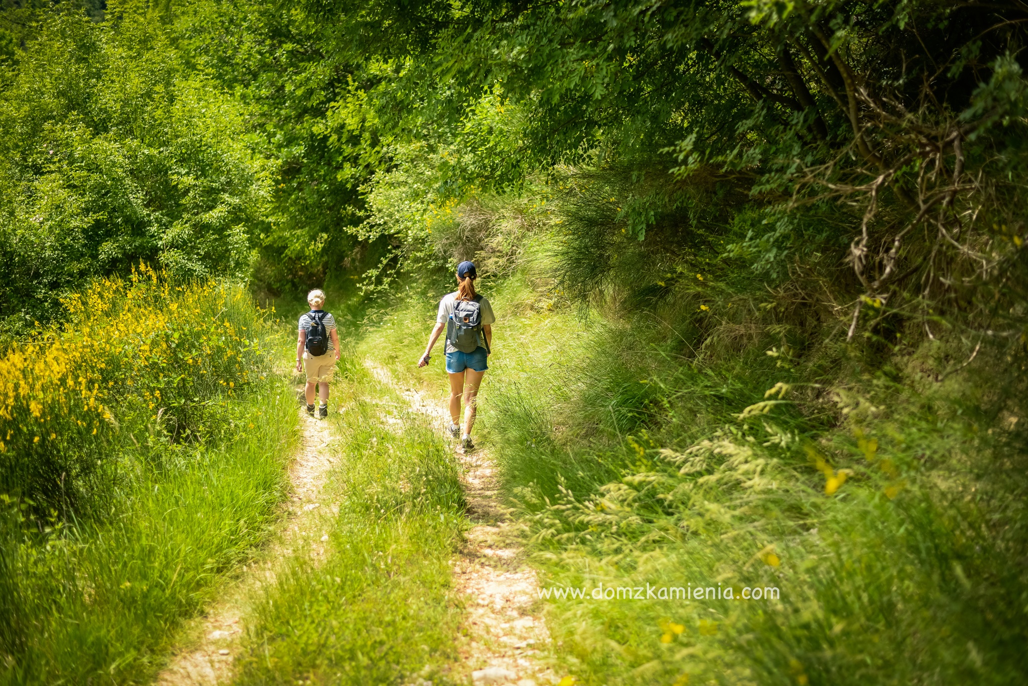 Dom z Kamienia warsztaty kulinarno trekkingowe