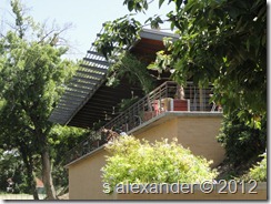 DSC01560