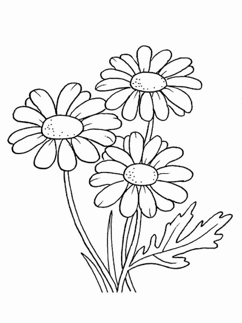 Gambar bunga sketsa