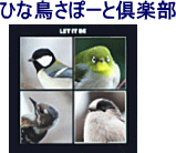 日本野鳥の会 神奈川支部 B Binos Vol 1 1994