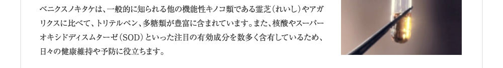 ベニクスノキタケは一般的に知られる他の機能性キノコ類である霊芝やアガリクスに比べてトリテルペン、多糖類が豊富に含まれています