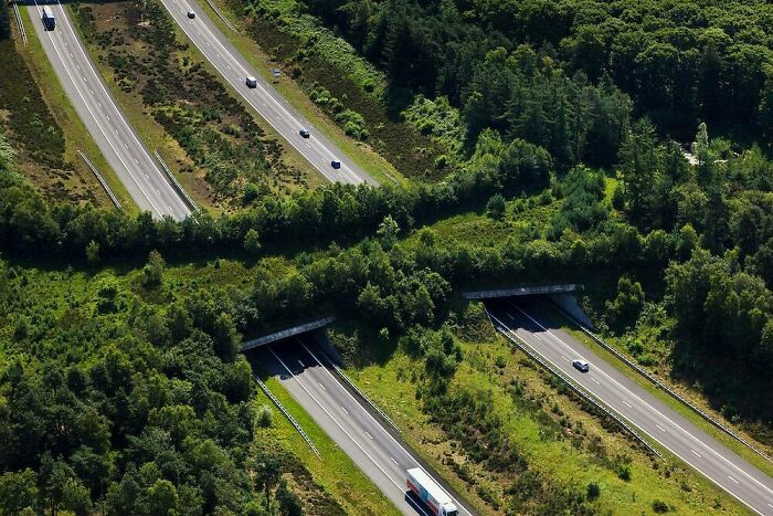 A1 Highway Ecoduct, The Veluwe, Netherlands