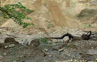 http://sciencythoughts.blogspot.co.uk/2014/05/homes-evacuated-after-landslide-causes.html