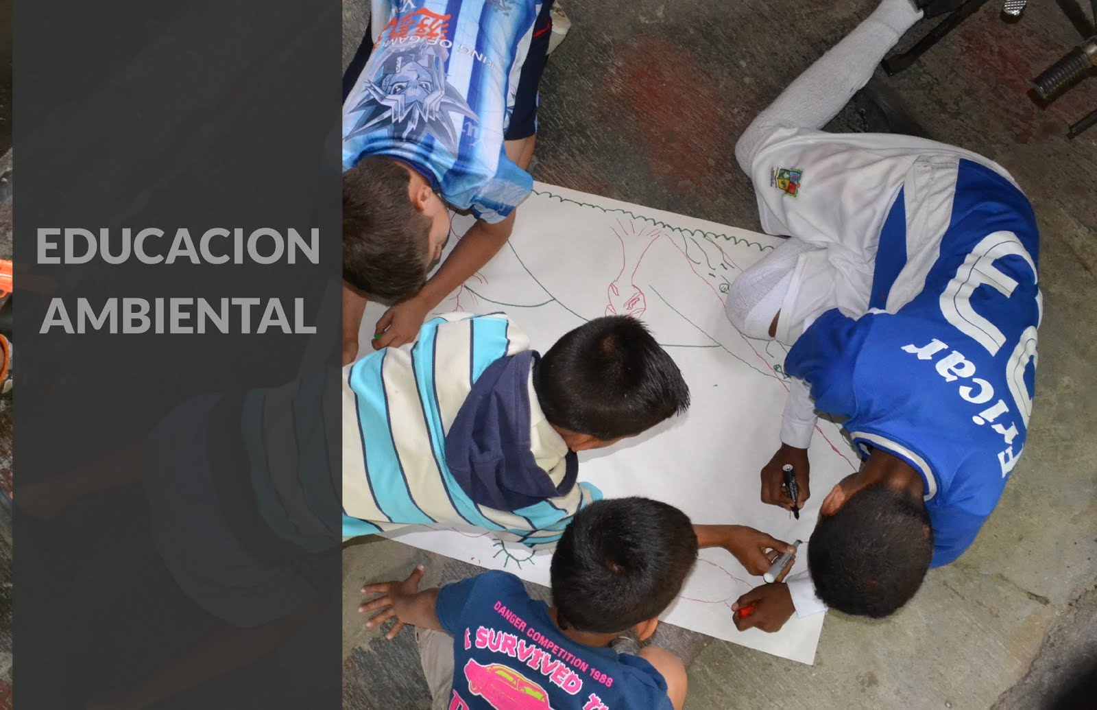 Servicios