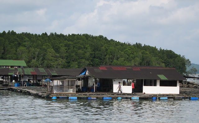 Kong-Kong-Tai-Son-Seafood-Kampung-Kong-Kong-Johor