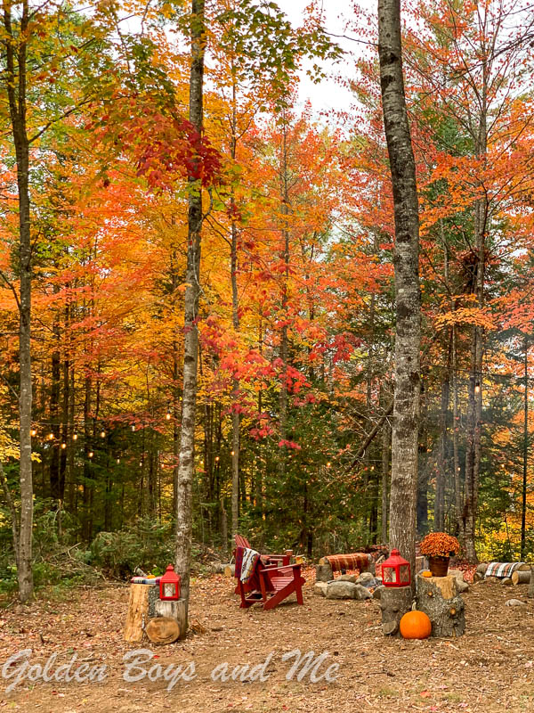 Fire pit by rustic mountain cabin with fall foliage - www.goldenboysandme.com