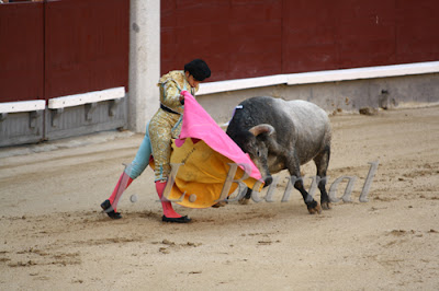 Primer novillo de la tarde