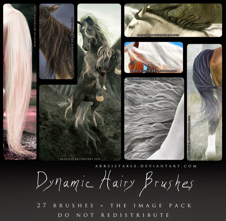 Very Hairy Dynamic