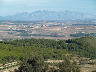 La plana penedesenca amb Montserrat al fons, vista des del Turó del Samuntà