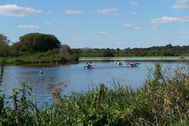 La Grognée, canoés