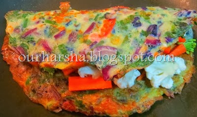 Vegetable Egg Omelet  (7)