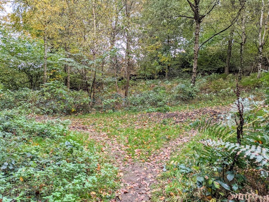 When the path splits keep to the left on Wigginton footpath 8 - point 3