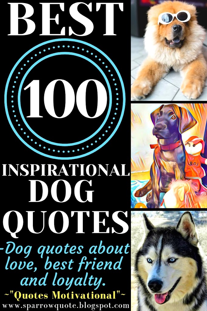 Best 100 Inspirational Dog Quotes About Love, Best Friend And Loyalty-Quotes Motivational