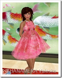 Snapshot_015