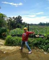 Wana Wisata Kampoeng Ciherang Tanjung Sari Sumedang