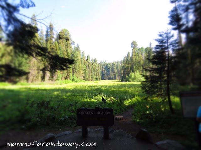 Crescent Meadow Sequoia National Park