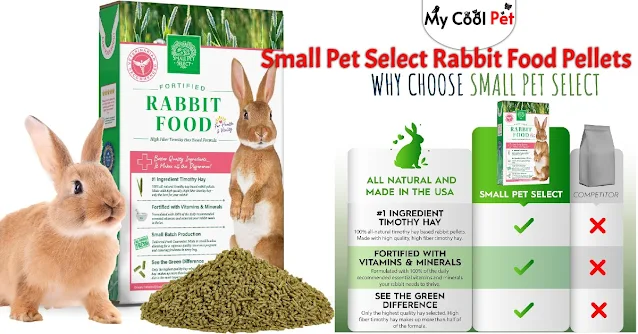 Top 10 Best Rabbit Foods