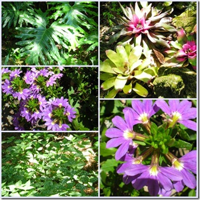 LeuGardens2