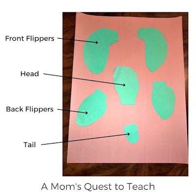 labeling of construction paper cutouts for sea turtle craft (head, tail, flippers)