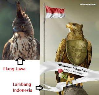 Burung Garuda