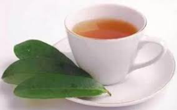 Daun Alpukat , Cara mengolah daun alpukat