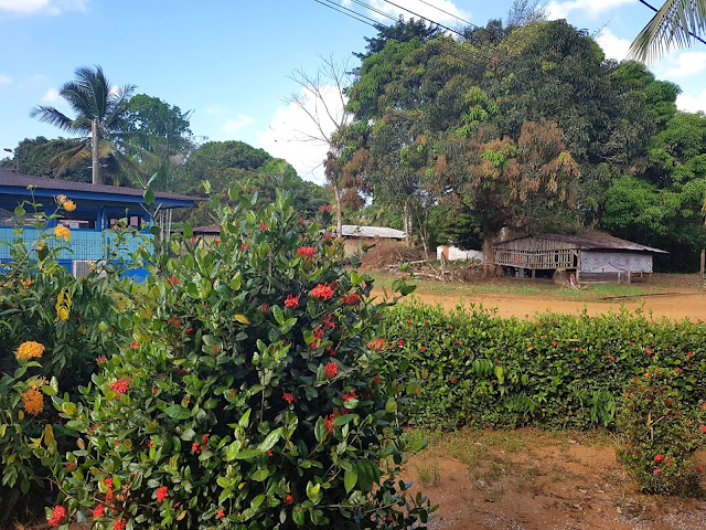 Guyane, village de Kaw