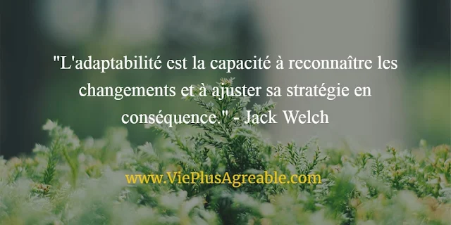 Découvrez les aspects clés de l'adaptabilité et apprenez comment cette compétence essentielle vous aide à vous ajuster aux changements avec succès.