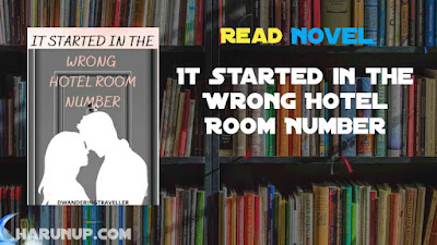 Read It Started in the Wrong Hotel Room Number Novel Full Episode