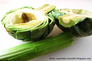 benefits_of_eating_artichokes_fruits-vegetables-benefitsblogspot.com(7)