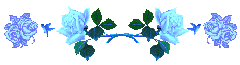 Separadorrosasazules