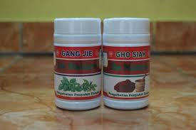 Obat Raja Singa