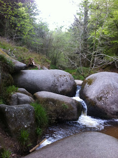 La Mare aux Sangliers - Huelgoat forest, Brittany