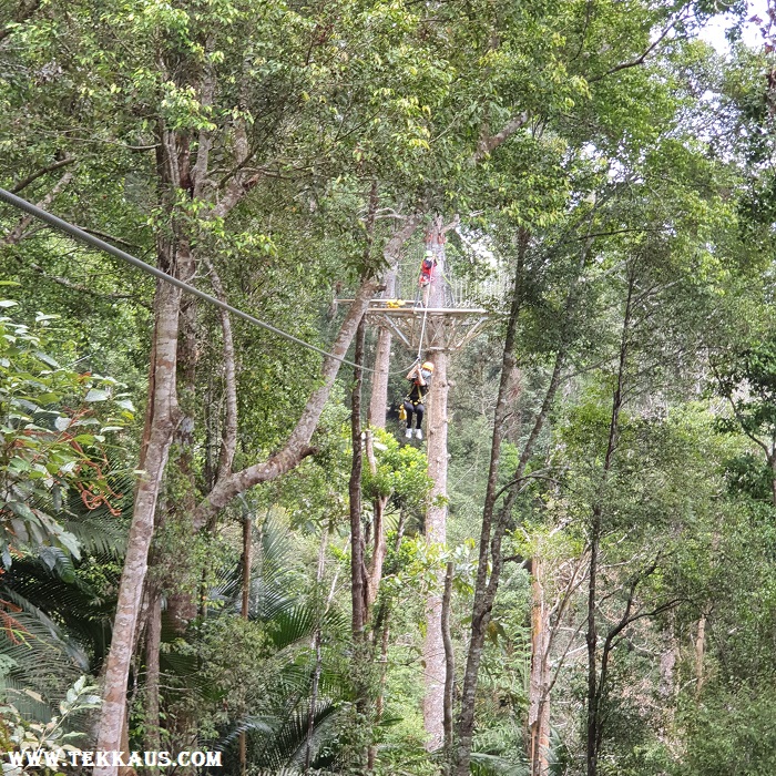 Penang Best Thing To Do For Kids Zipline