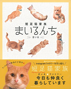 短足猫家族 まいるんち