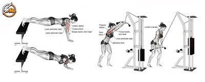 Powerful Chest And Back Superset Routine