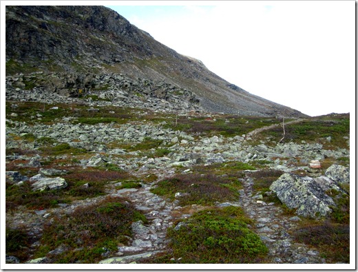 Äntligen får jag fjällkänsla inte en massa träd däremot en jäkla massa sten.