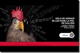 piel-gallina