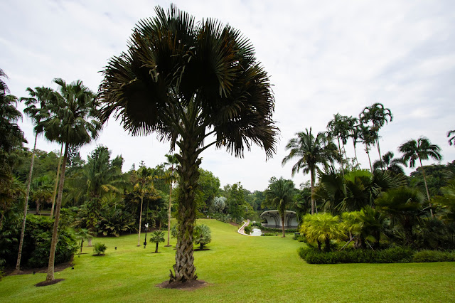 Botanic gardens-Singapore