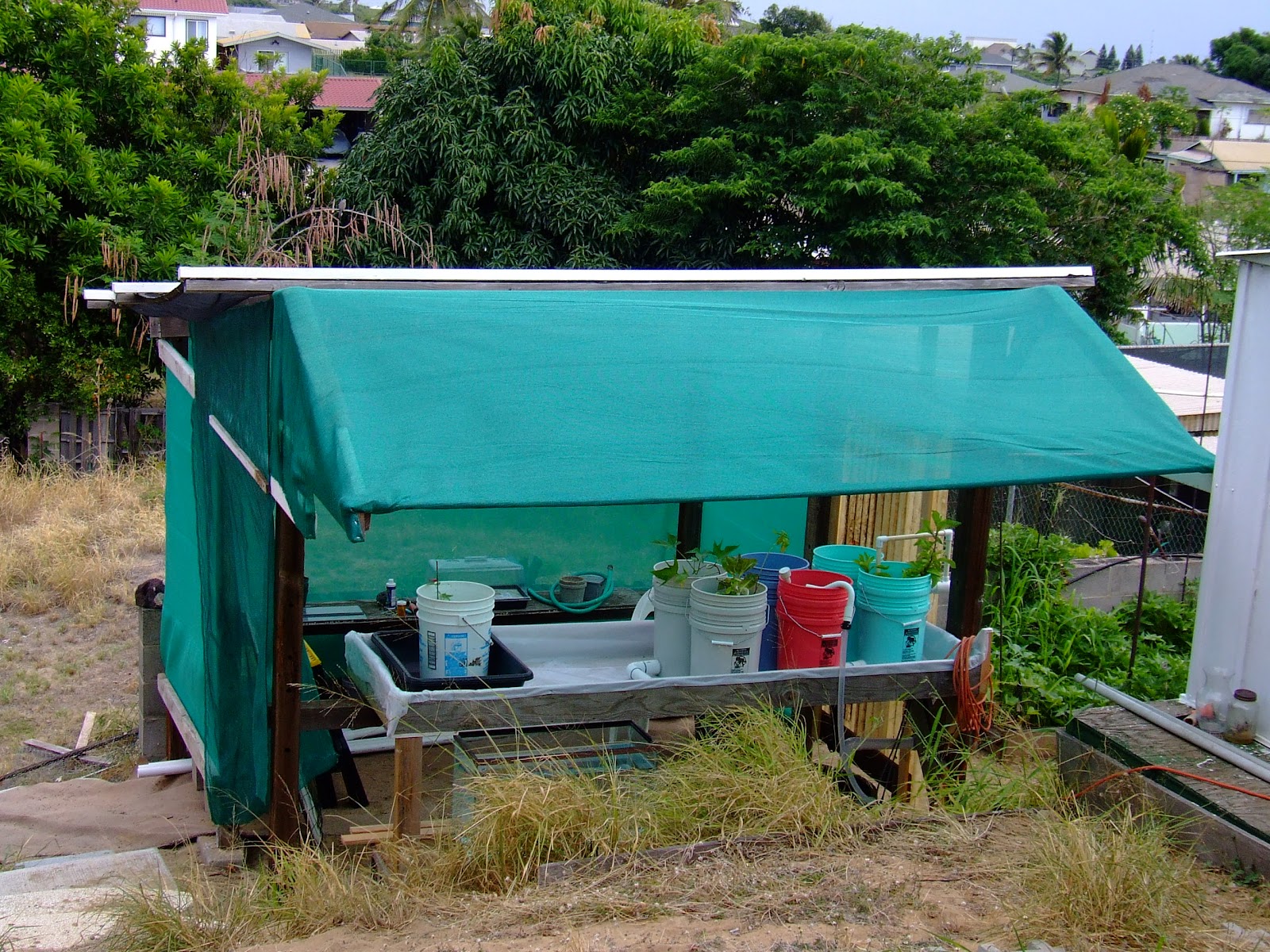 new home for my First and Second Aquaponics Systems