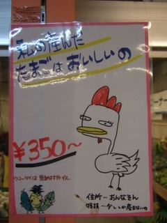 DSCF2422