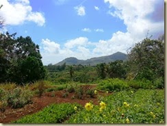 20131009_view from flower garden (Small)