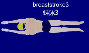 Renang Gaya Dada (Breast Stroke)