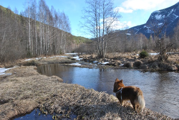 seriøs søndag 041