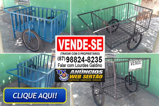 http://www.blogtvwebsertao.com.br/2018/07/negocio-vende-se-2-carrinhos.html