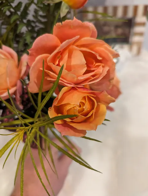 Disneyland Rose Blooms - Peach, Pink and Orange - Zone 5B - Floribunda Roses