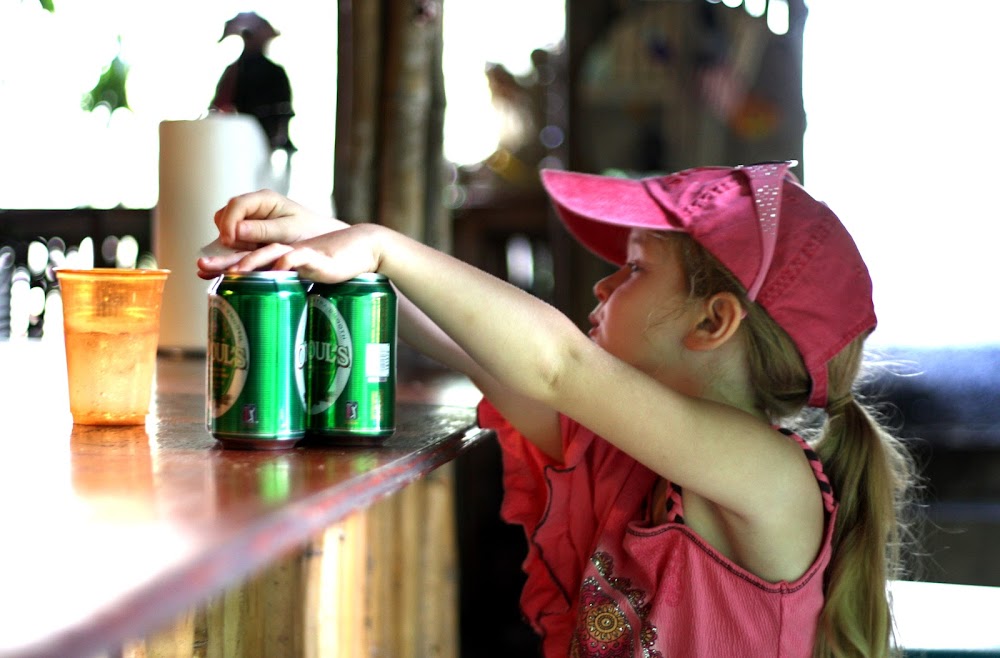 beer drinking pigs