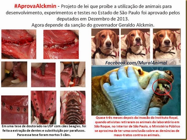 animais-cobaias